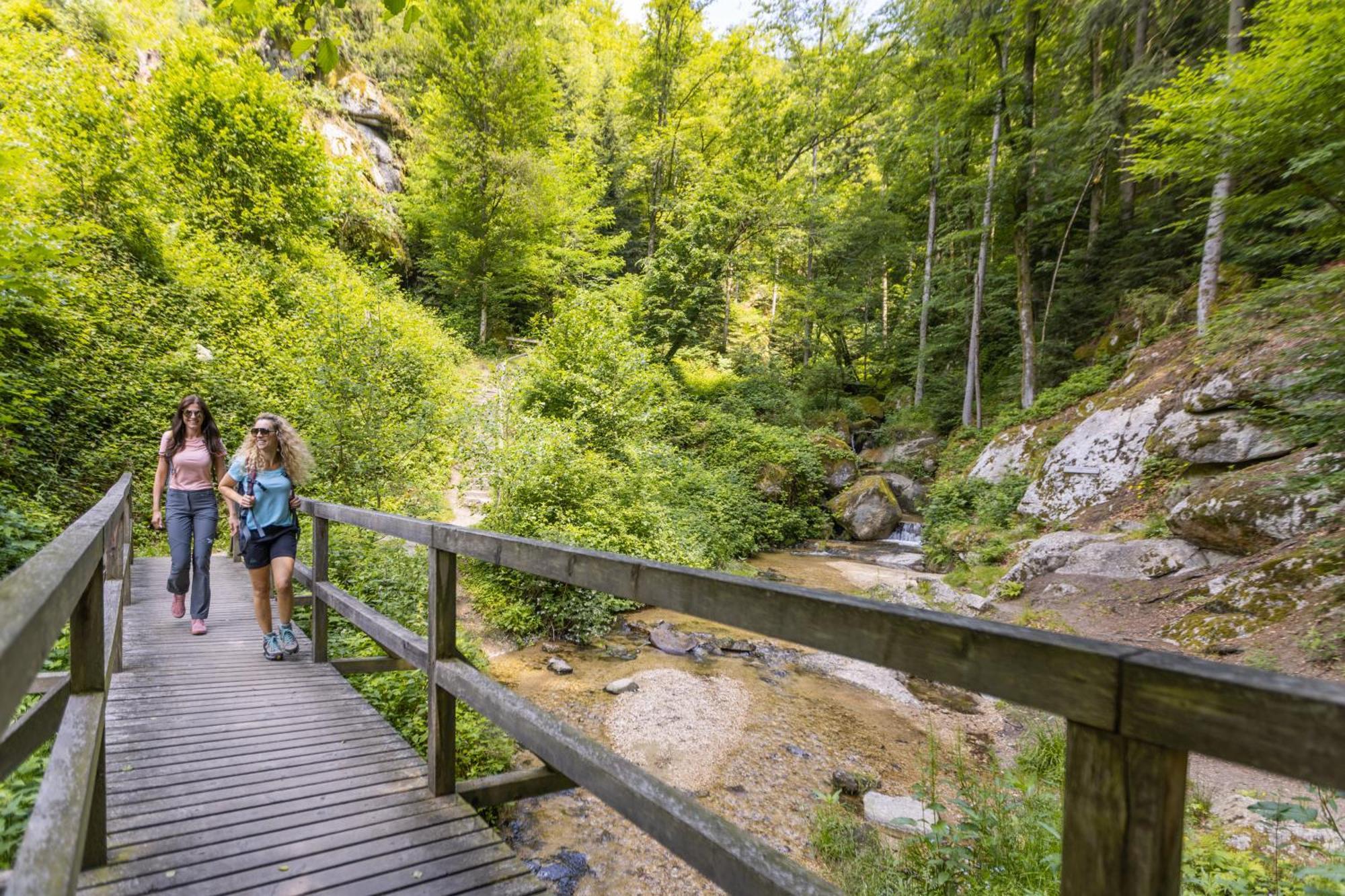 Am Wildbach Bei Passau Apartment Saming ภายนอก รูปภาพ