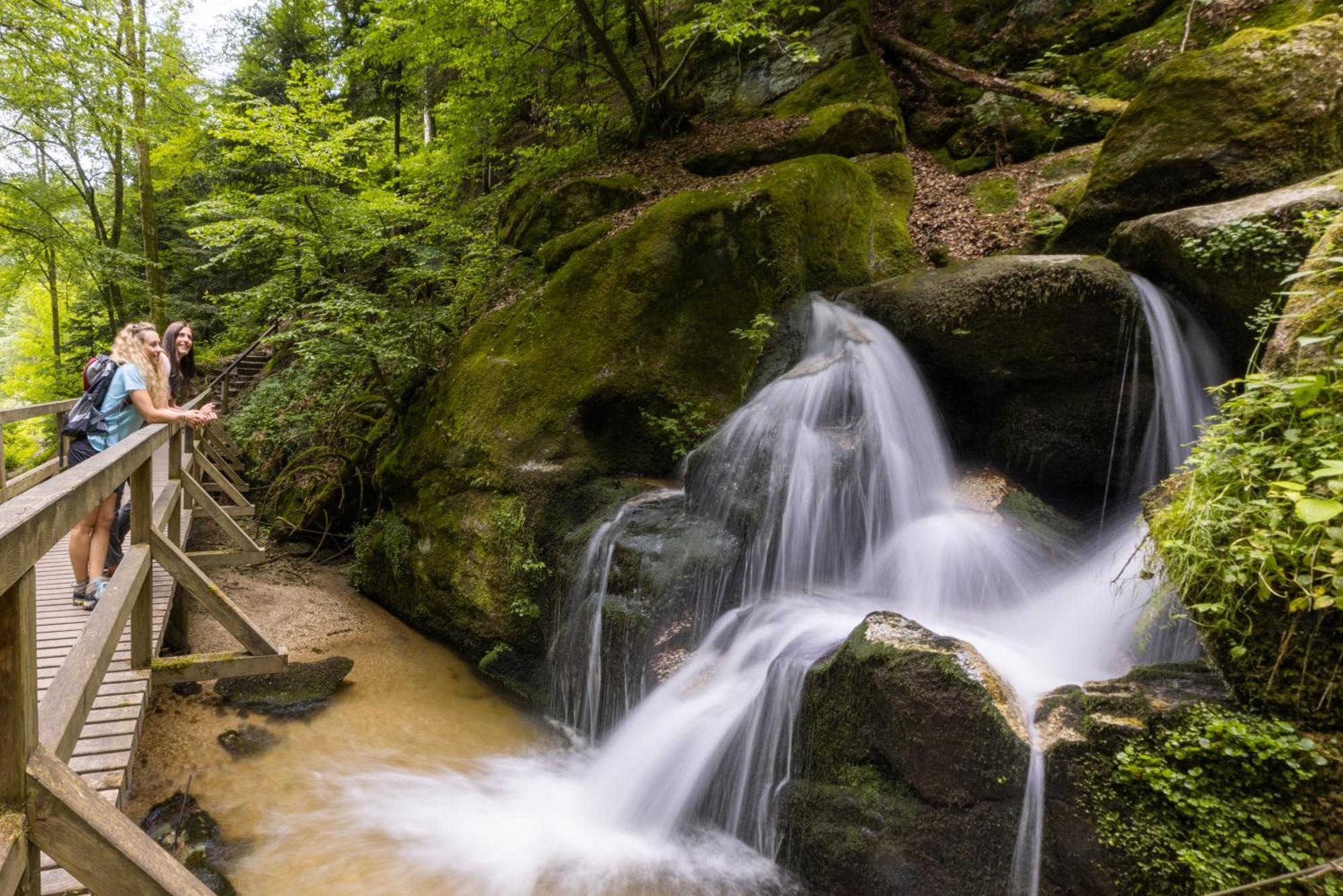 Am Wildbach Bei Passau Apartment Saming ภายนอก รูปภาพ