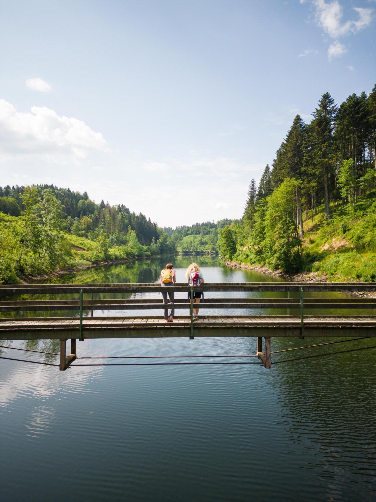 Am Wildbach Bei Passau Apartment Saming ภายนอก รูปภาพ